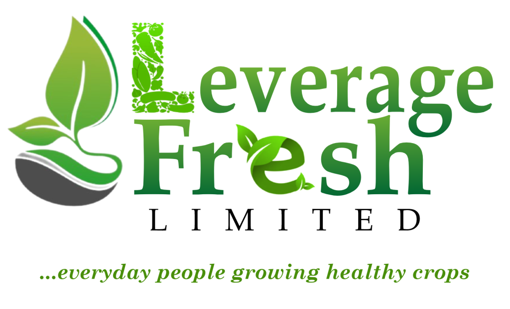 Leverage Fresh